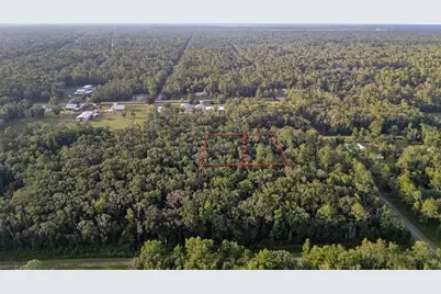 4725 Alvin Street, Hastings, FL 32145 - Photo 3