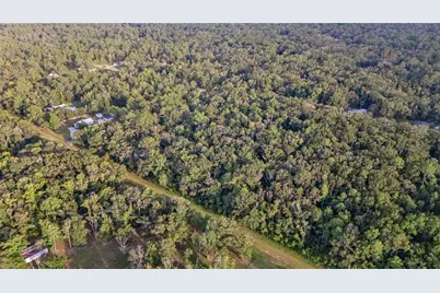 4725 Alvin Street, Hastings, FL 32145 - Photo 5