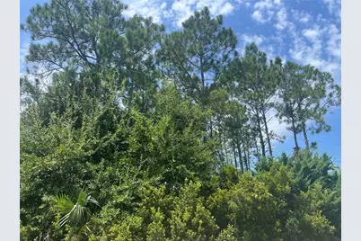 31 Bunker Knolls Lane, Palm Coast, FL 32137 - Photo 5