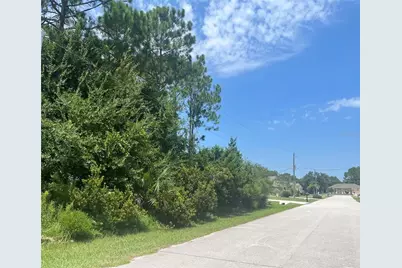 31 Bunker Knolls Lane, Palm Coast, FL 32137 - Photo 1