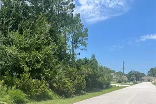 31 Bunker Knolls Ln, Palm Coast, FL 32137 - Photo 1
