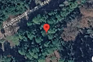 131 Edgemere Dr, Georgetown, FL 32139 - Photo 1