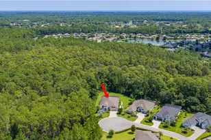 214 Ashwood Ct, Ormond Beach, FL 32174 - Photo 63