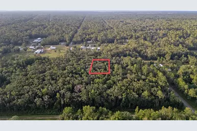4715 Alvin Street, Hastings, FL 32145 - Photo 1