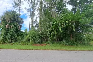 24 Ramrock Ln, Palm Coast, FL 32164 - Photo 1