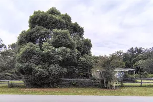 27401 Main Ave, Okahumpka, FL 34762 - Photo 35