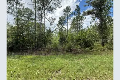 2724 Lancewood Street, Bunnell, FL 32110 - Photo 3