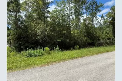 2724 Lancewood Street, Bunnell, FL 32110 - Photo 7