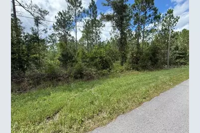 2724 Lancewood Street, Bunnell, FL 32110 - Photo 5
