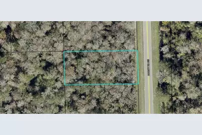2204 Cr-305, Bunnell, FL 32110 - Photo 1