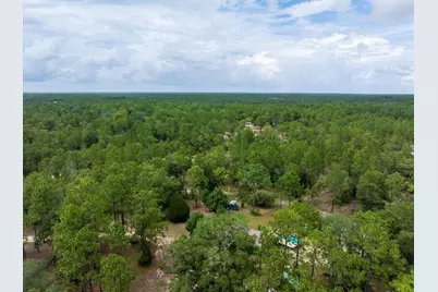 112 Birchdale Trail, Hawthorne, FL 32640 - Photo 29