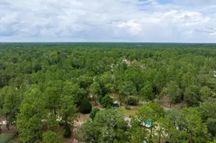 112 Birchdale Trail, Hawthorne, FL 32640 - Photo 29
