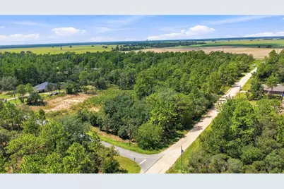Lot 14 SW 81 St. & SW 137th Ct., Dunnellon, FL 34432 - Photo 7