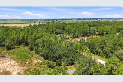 Lot 14 SW 81 St. & SW 137th Ct., Dunnellon, FL 34432 - Photo 5
