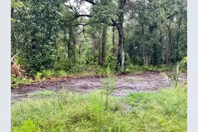 Xxx Water Oak Road, Bunnell, FL 32110 - Photo 3