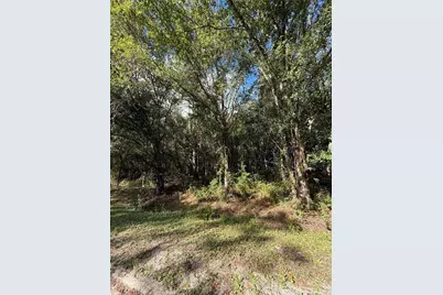 1166 Honeytree Street, Bunnell, FL 32110 - Photo 5