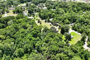104 Woodcrest Ave, Satsuma, FL 32189 - Photo 61