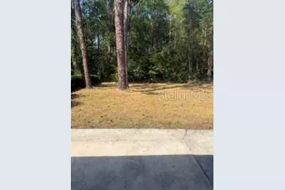 7542 Pheasant Path Drive, Jacksonville, FL 32244 - Photo 9