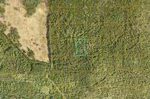 0 N St, Deland, FL 32724 - Photo 1