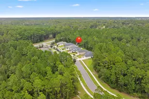 1625 Linda Lakes Ln, Middleburg, FL 32068 - Photo 53