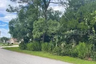 94 White Hall Dr, Palm Coast, FL 32164 - Photo 1