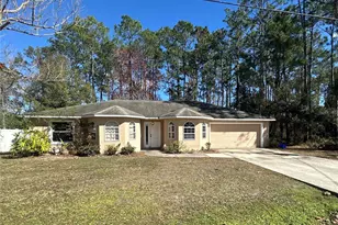 53 Birchwood Dr, Palm Coast, FL 32137 - Photo 1