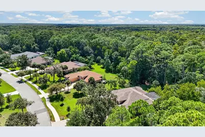 4 Scarlet Oak Circle, Palm Coast, FL 32137 - Photo 45