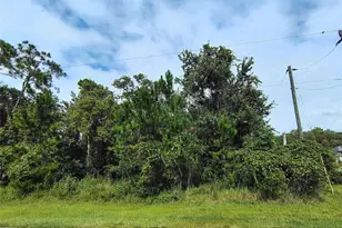 1 Kalmar Pl, Palm Coast, FL 32164 - Photo 1