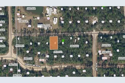 0 Glisson Street, Interlachen, FL 32148 - Photo 3