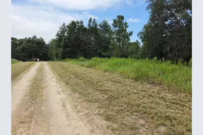 0 SW 144th Court, Ocala, FL 34481 - Photo 5
