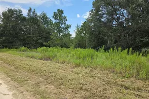 0 SW 144th Ct, Ocala, FL 34481 - Photo 1