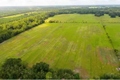 1 County Road 140, Bunnell, FL 32110 - Photo 5