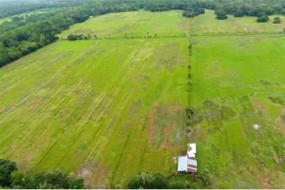 3 County Road 140, Bunnell, FL 32110 - Photo 7