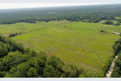 3 County Road 140, Bunnell, FL 32110 - Photo 3