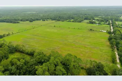 5 County Road 140, Bunnell, FL 32110 - Photo 3