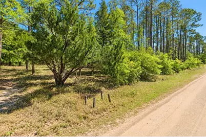 2313 Grove Street, Bunnell, FL 32110 - Photo 5