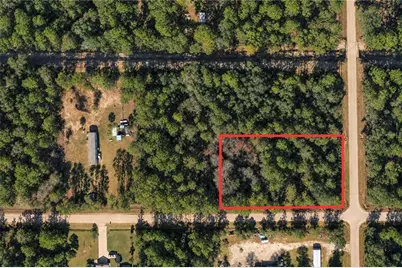 2534 Lancewood Street, Bunnell, FL 32110 - Photo 3