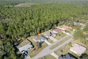 31 Seattle Trail, Palm Coast, FL 32164 - Photo 45