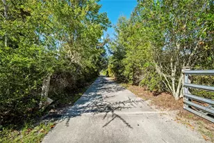4145 Appaloosa Rd, Middleburg, FL 32068 - Photo 67
