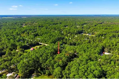 1451 Hickory St., Bunnell, FL 32110 - Photo 13