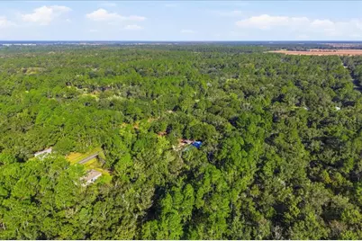 9860 Nikolich Avenue, Hastings, FL 32145 - Photo 31