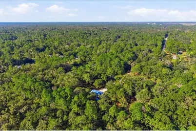9860 Nikolich Avenue, Hastings, FL 32145 - Photo 37