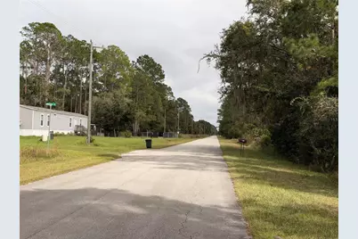 101 Mimosa Street, Georgetown, FL 32139 - Photo 3