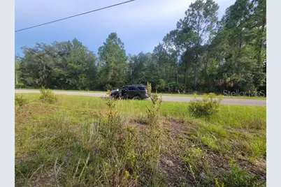 101 Mimosa Street, Georgetown, FL 32139 - Photo 7