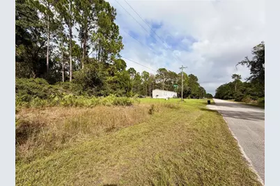 101 Mimosa Street, Georgetown, FL 32139 - Photo 5