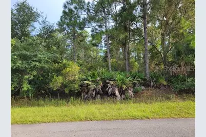 101 Mimosa Street, Georgetown, FL 32139 - Photo 1