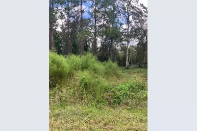 1881 Hazelnut Street, Bunnell, FL 32110 - Photo 3