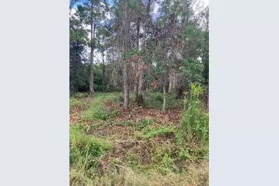 1881 Hazelnut Street, Bunnell, FL 32110 - Photo 5