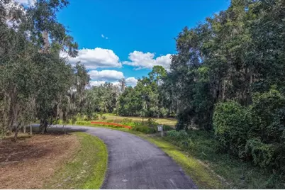 167 Live Oak Circle, Crescent City, FL 32112 - Photo 3