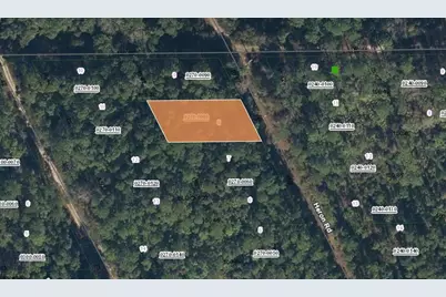 203 Heron Road, Satsuma, FL 32189 - Photo 1